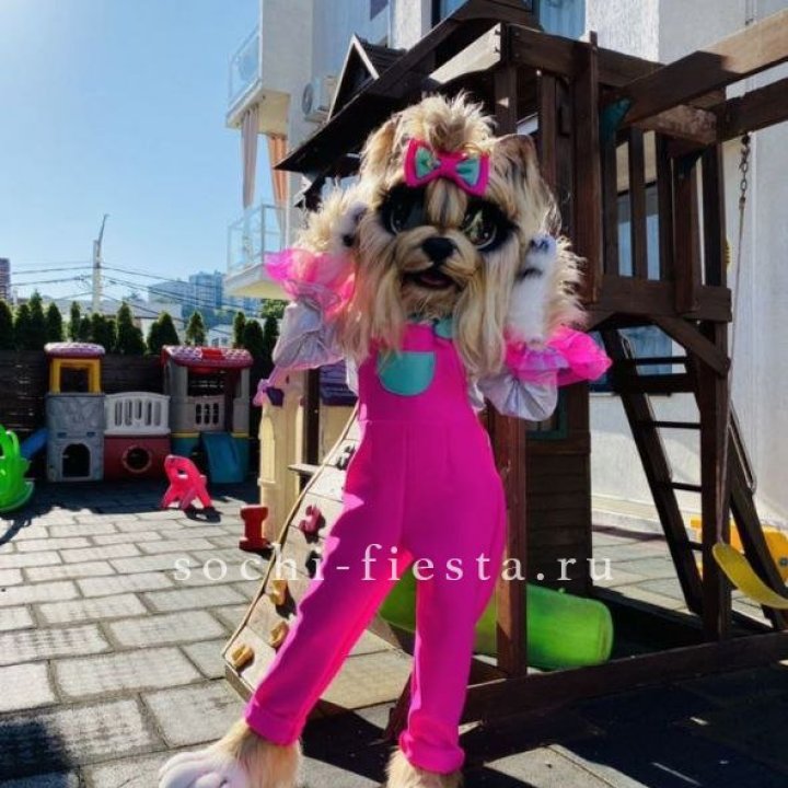 Аниматор Гламурная Собака в Владивостоке