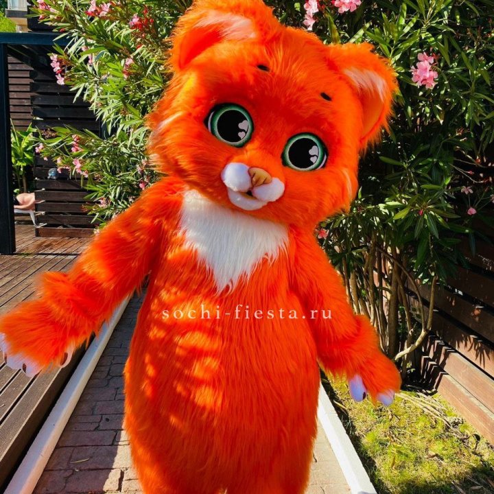 Аниматор Котик в Владивостоке