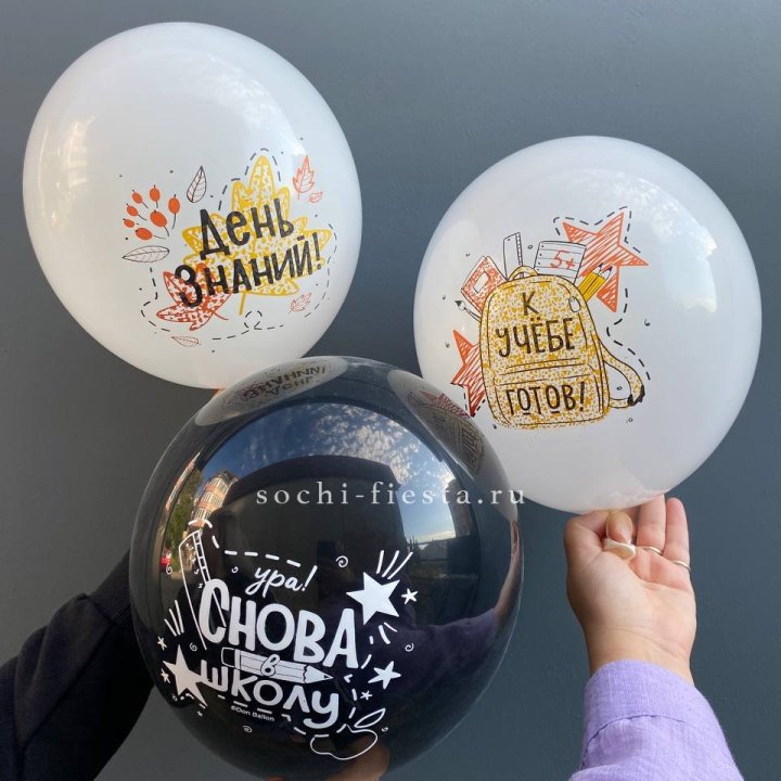 Воздушный шар к 1 сентября в Владивостоке