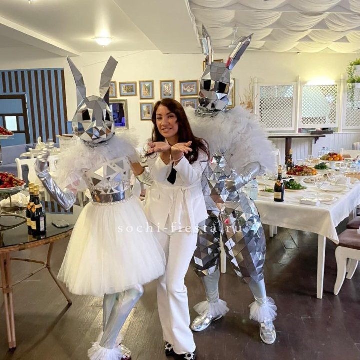 Аниматор Зеркальный заяц в Владивостоке