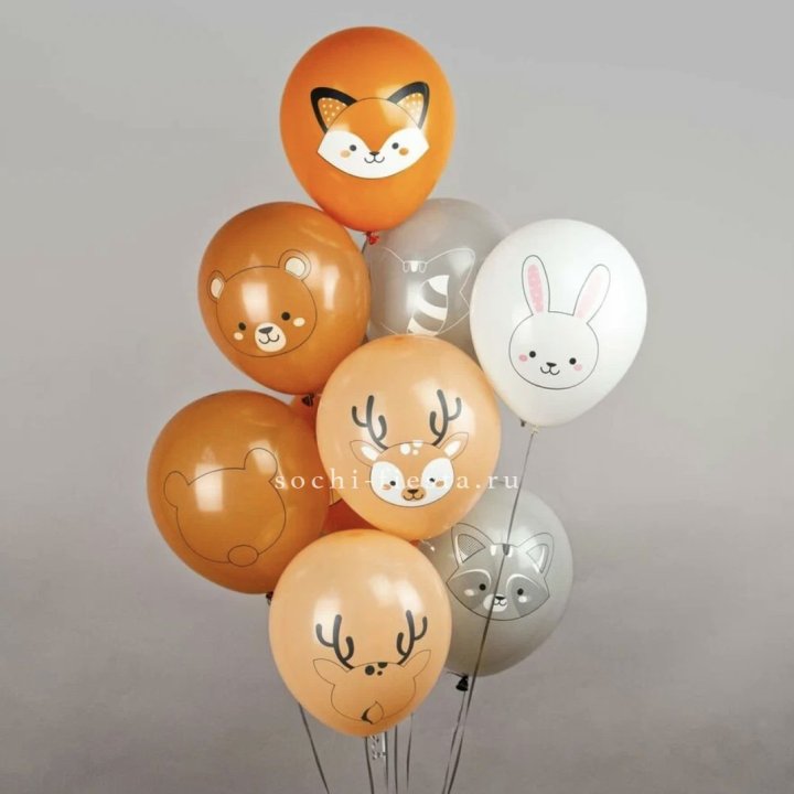 Воздушный шар "Животные" в Владивостоке