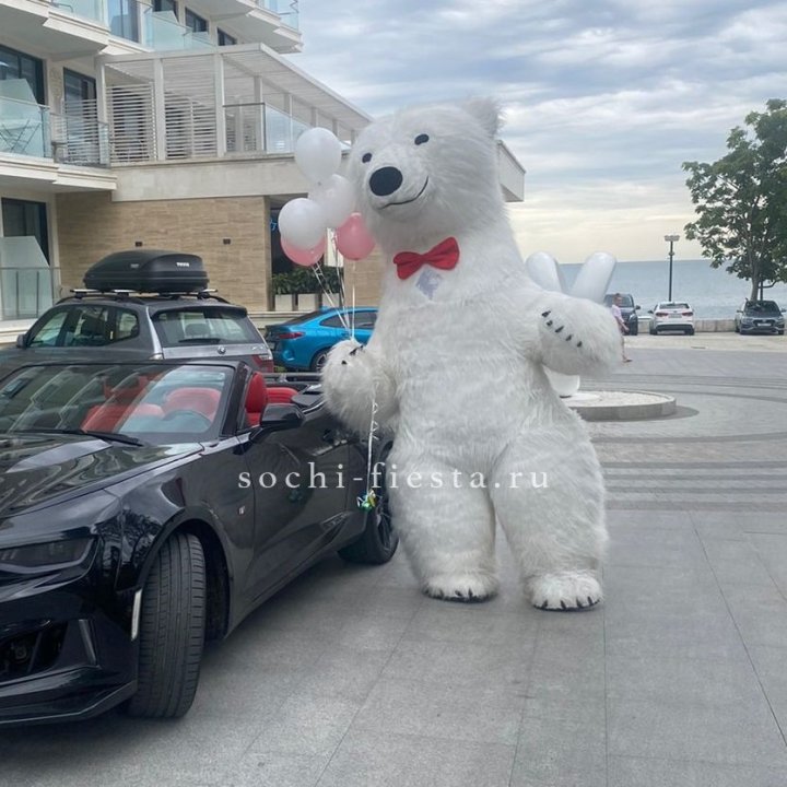 Аниматор Белый Медведь в Владивостоке