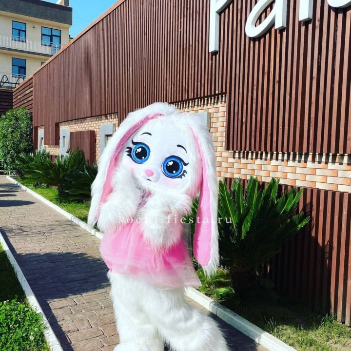 Аниматор Зайка в Владивостоке