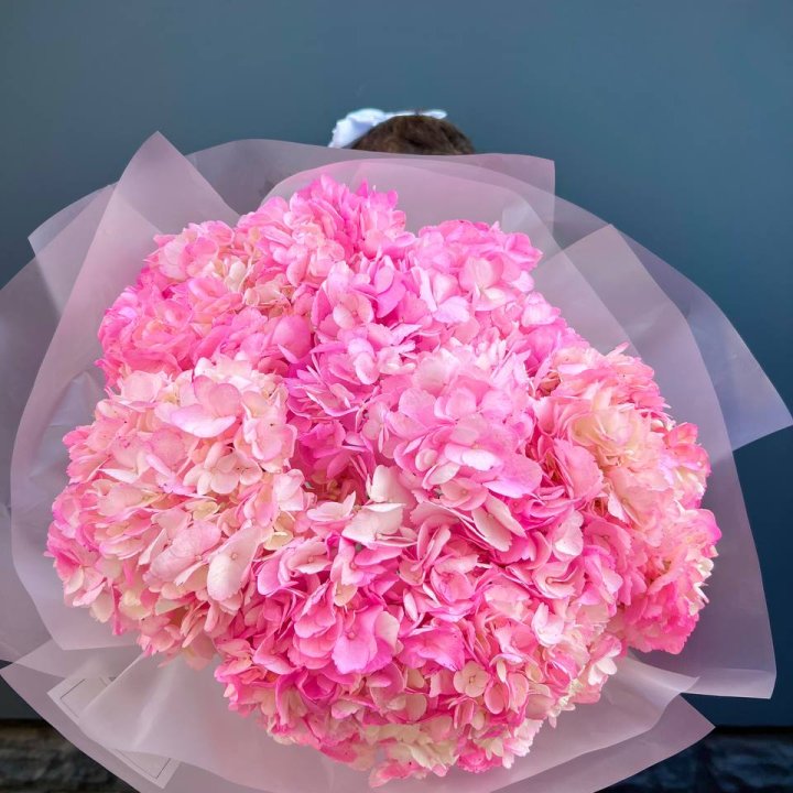 9 ярко розовых гортензий в Владивостоке