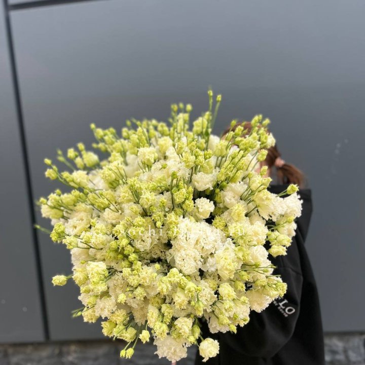 51 белая эустома в Владивостоке