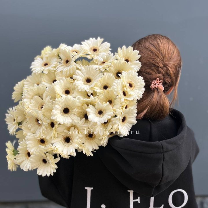 51 гербера в Владивостоке