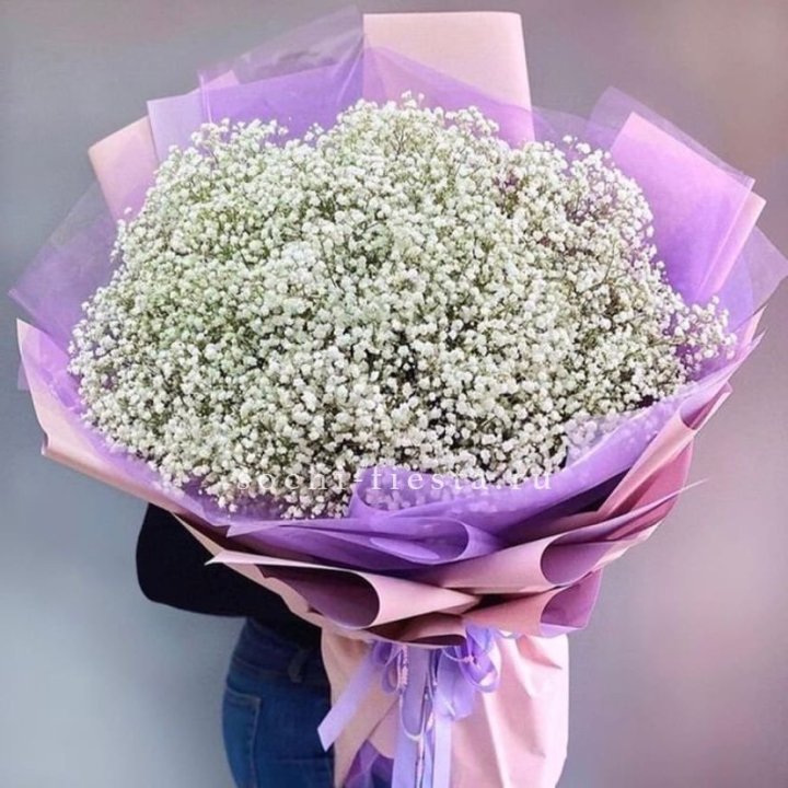 Облако белых гипсофил в Владивостоке