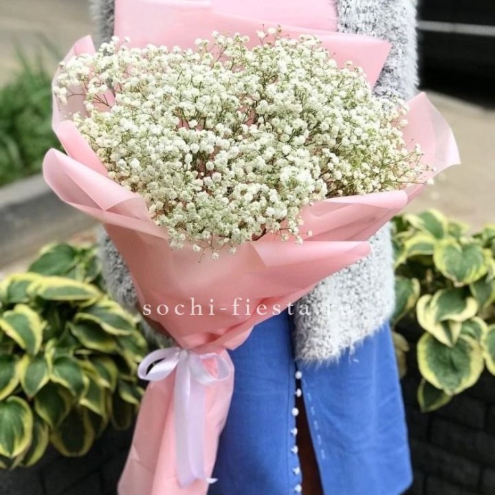 Белоснежные гипсофилы в Владивостоке