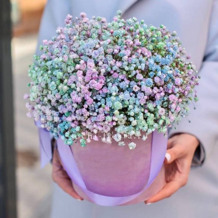 Гипсофилы в шляпной коробке "Кандилайт" в Владивостоке