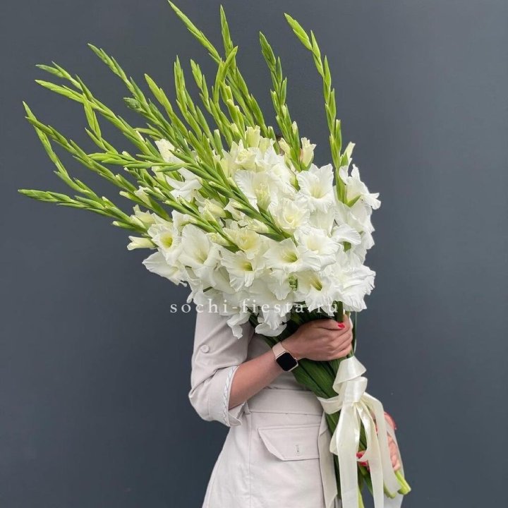 19 белых гладиолусов под ленту в Владивостоке