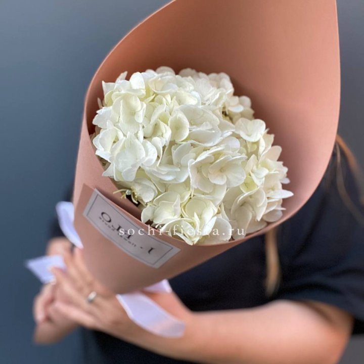 Гортензия в конверте в Владивостоке