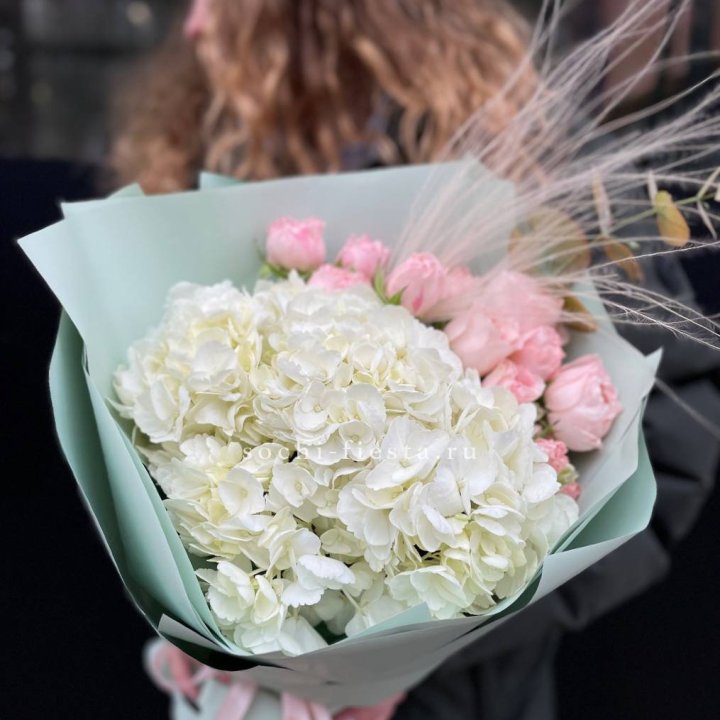 Гортензия "Жасмин" в Владивостоке