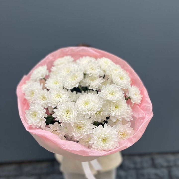  5 хризантем  в Владивостоке