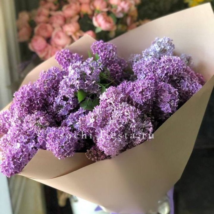 Букет сирени №2 в Владивостоке