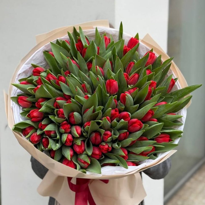 101 красный тюльпан в Владивостоке