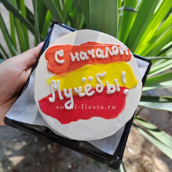 Бенто-торт "С началом учёбы"" в Владивостоке