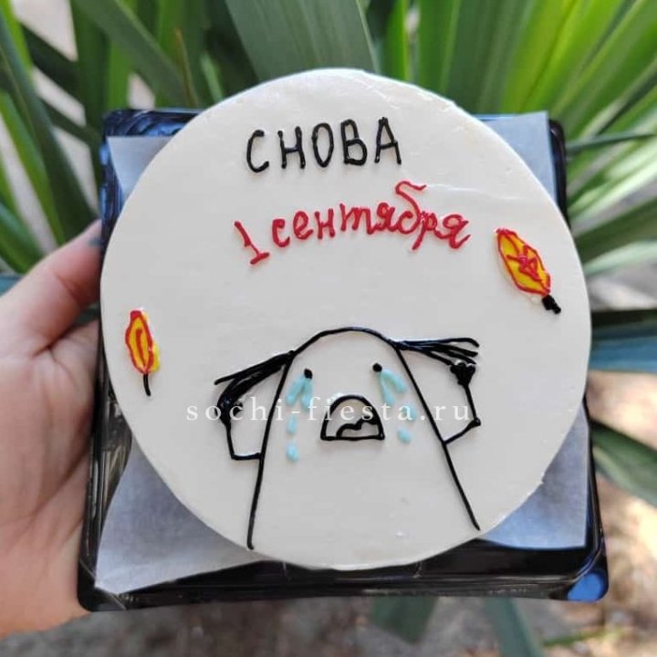 Бенто-торт "Не опять, а снова..." в Владивостоке