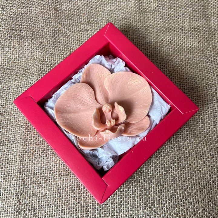 Бельгийский шоколад Орхидея в Владивостоке