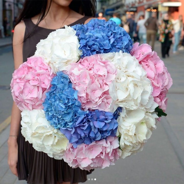 Букет гортензий "Инь-Янь" в Владивостоке