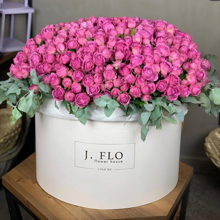 Цилиндр с Мисти Бабблс  в Владивостоке