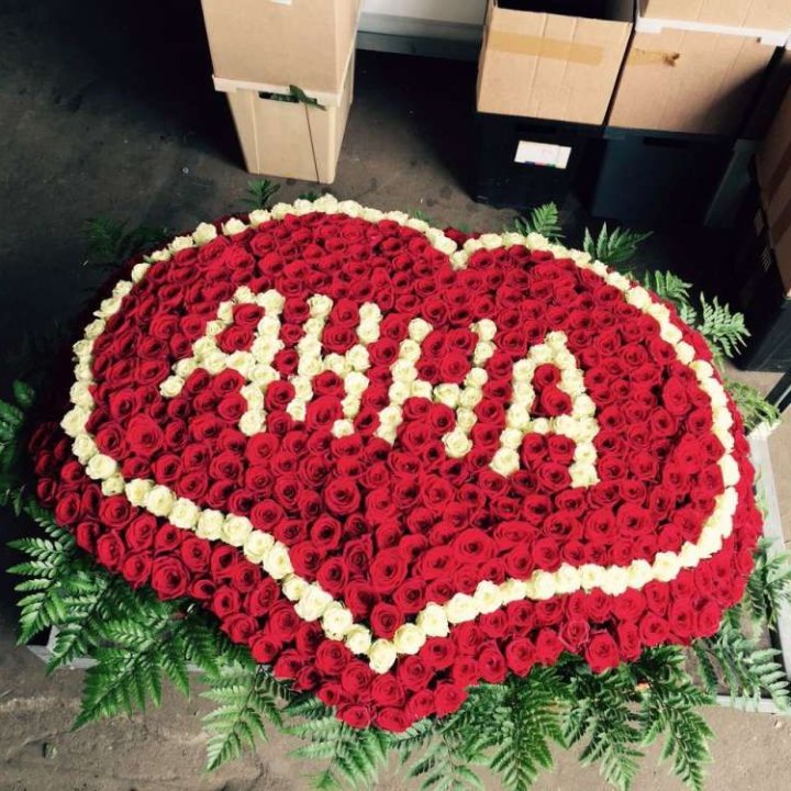 555 роз с именем в Владивостоке