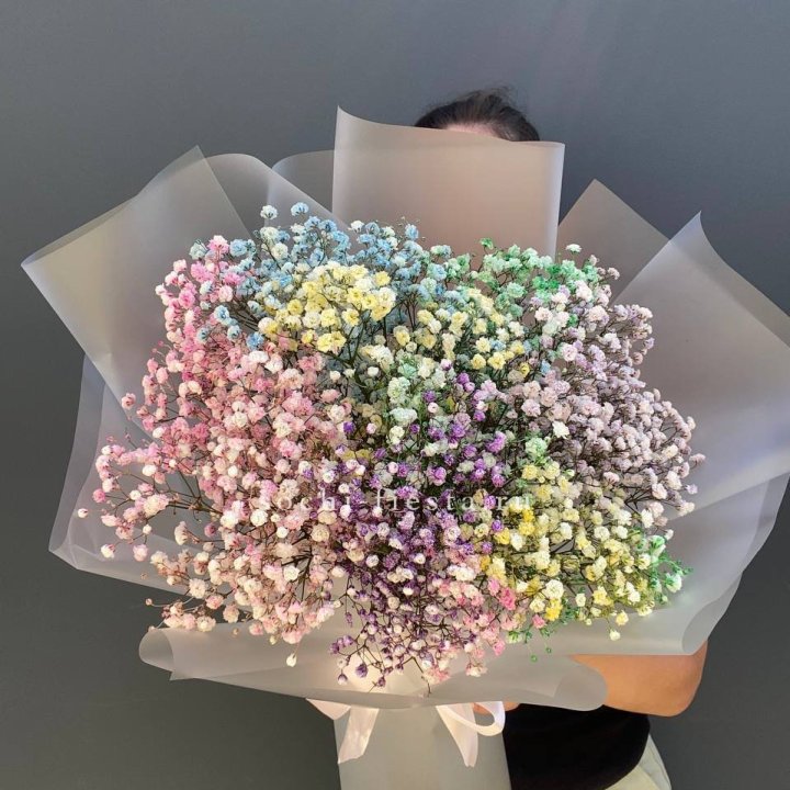 Радужные гипсофилы  в Владивостоке