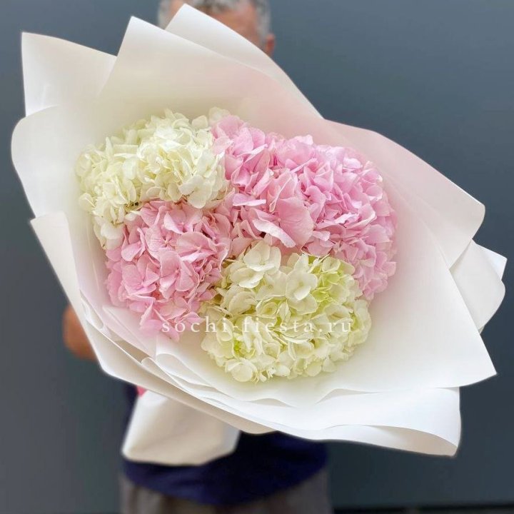Букет гортензий №5 в Владивостоке