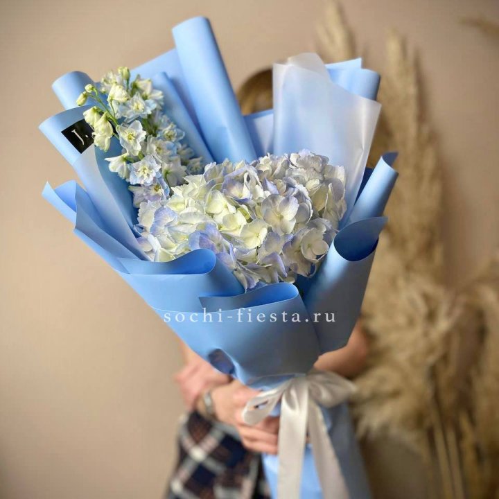 Гортензия "Блю скай" в Владивостоке