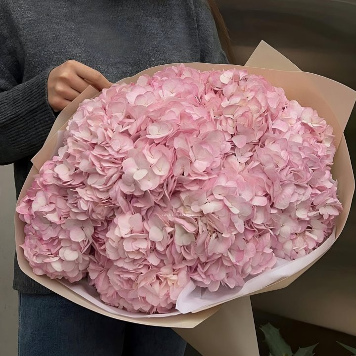 Гортензия  "РОЗЕ" в Владивостоке