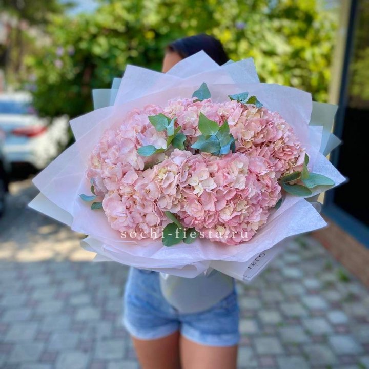 5 розовых гортензий  в Владивостоке