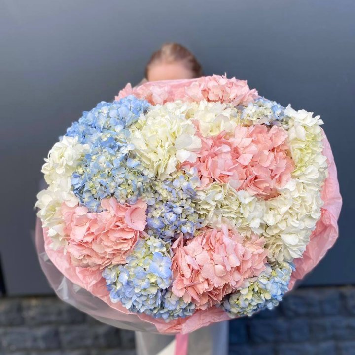 19 гортензий микс в Владивостоке