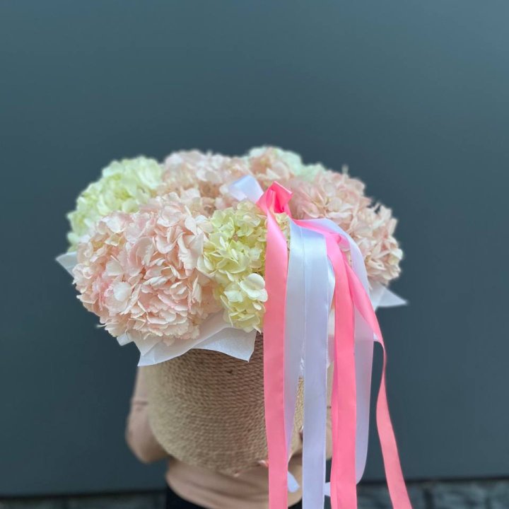 7 гортензий в кашпо в Владивостоке