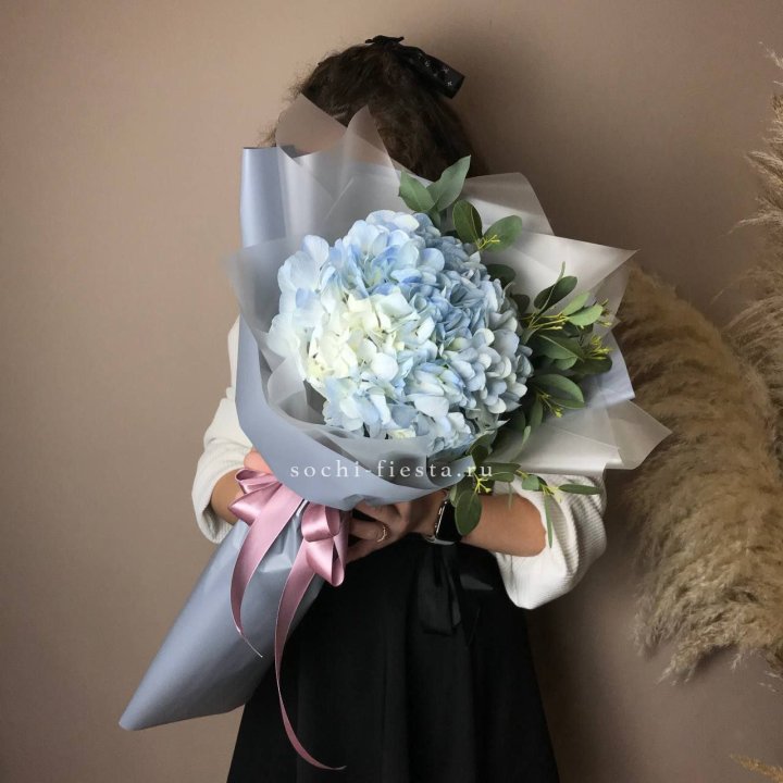 Гортензия Уно в Владивостоке