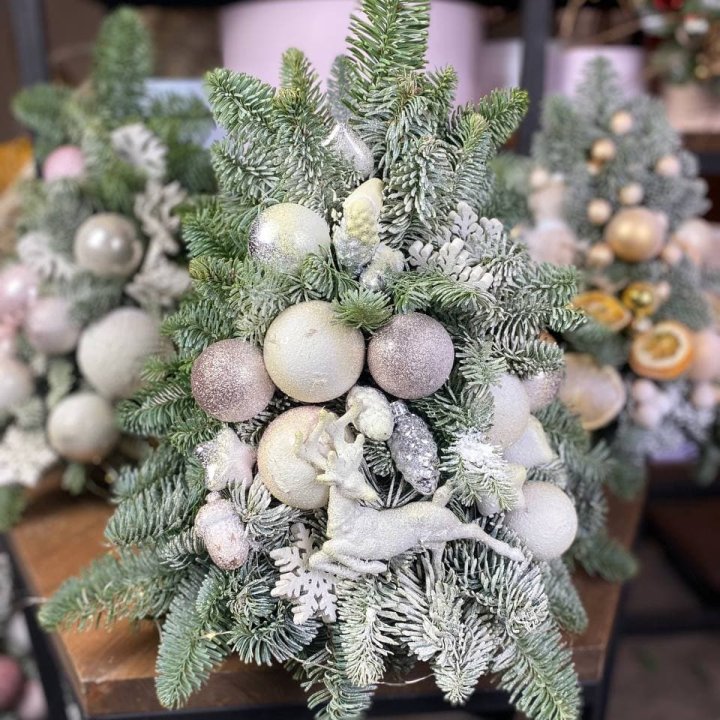 Ёлочка "Хепи крисмас" в Владивостоке