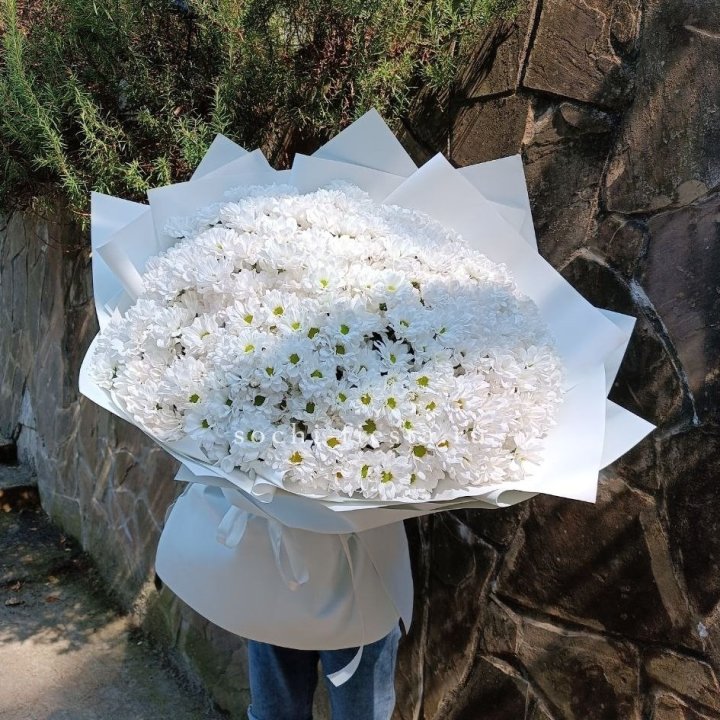 Облако хризантем №2 в Владивостоке