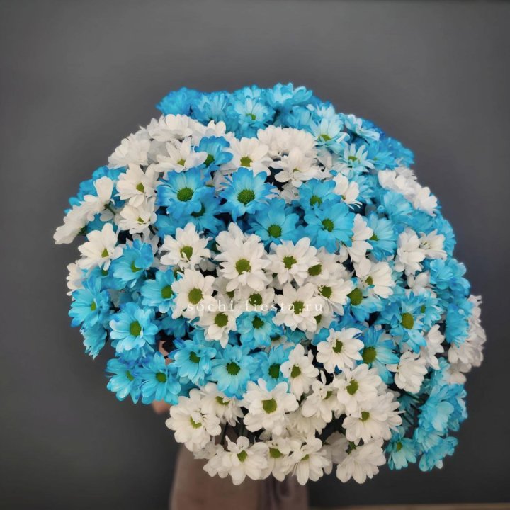  Букет хризантем микс в Владивостоке