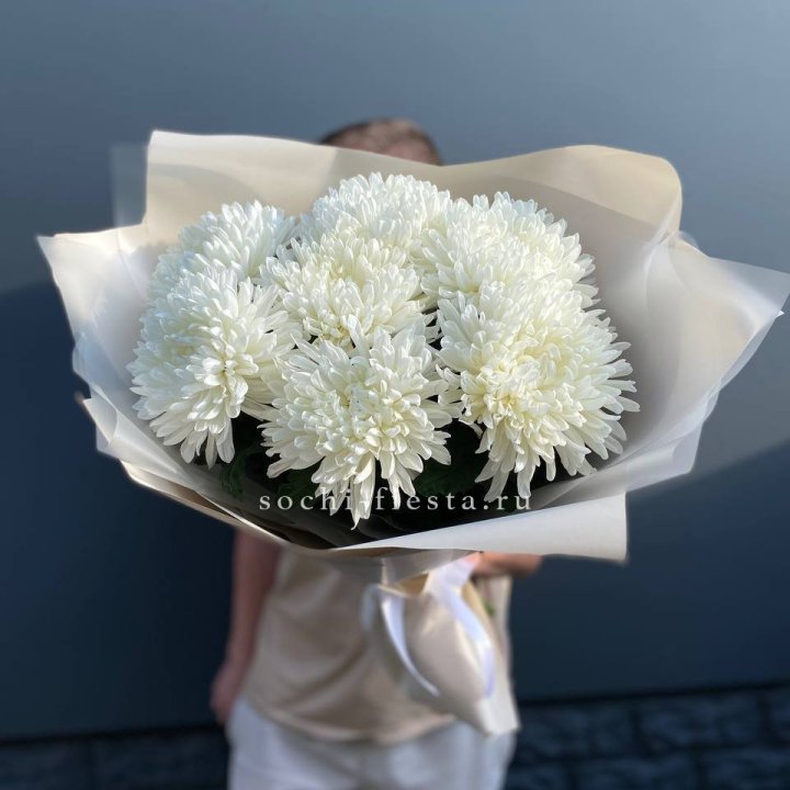 Профитроли в Владивостоке