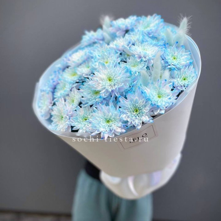  Букет нежно-голубых хризантем  в Владивостоке
