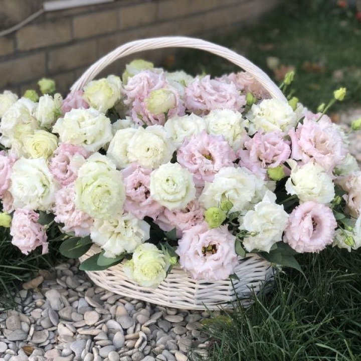 Корзина с эустомой в Владивостоке