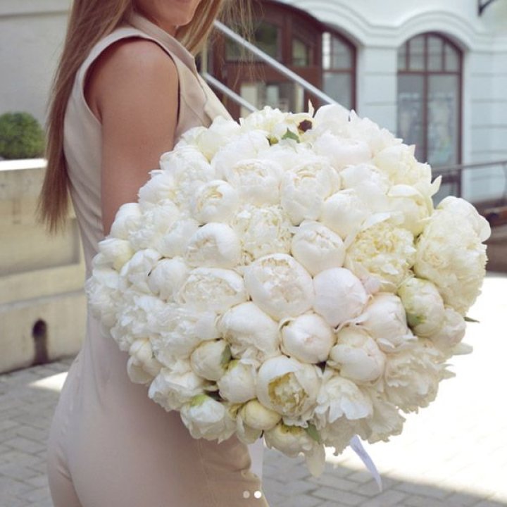 51 белый пион в Владивостоке