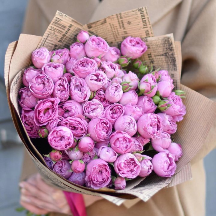 Роза Мисти Баблс в Владивостоке