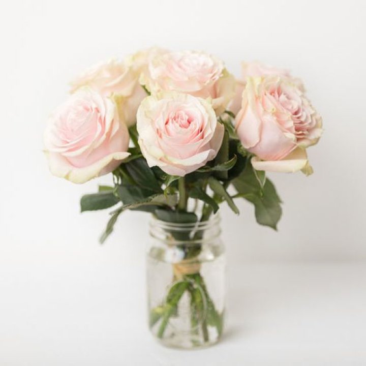 7 кремовых роз в Владивостоке