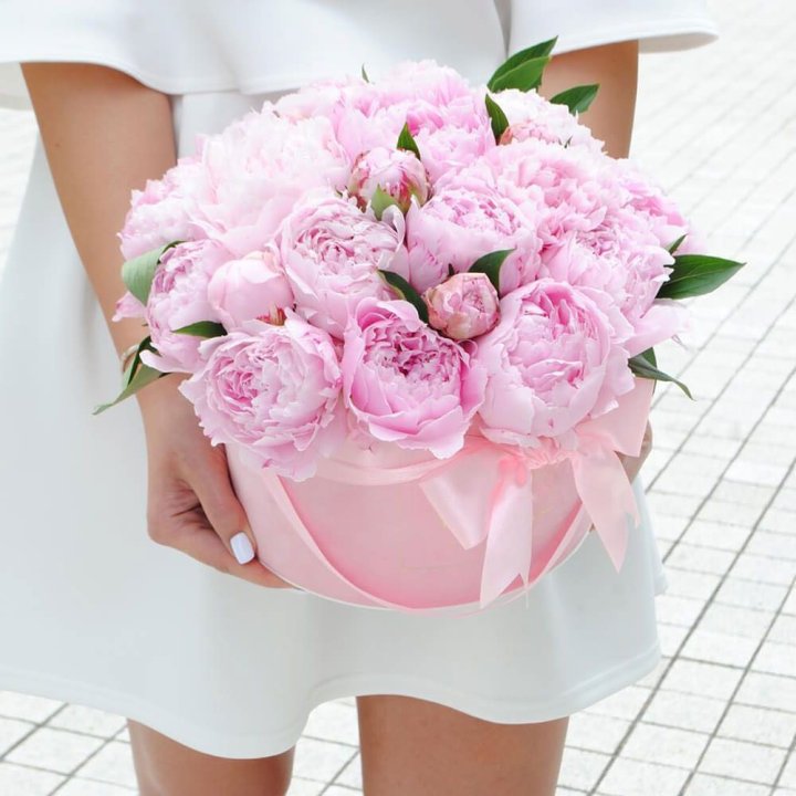 Пионы в шляпной коробке в Владивостоке