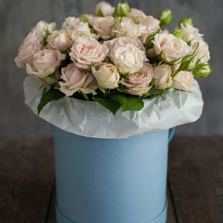 Бокс с бомбастиком в Владивостоке