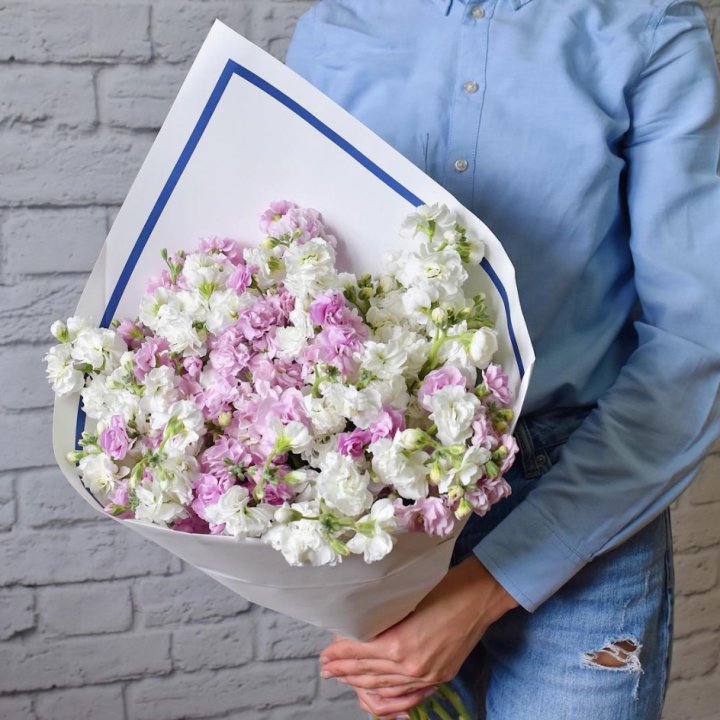 Маттиола в Владивостоке