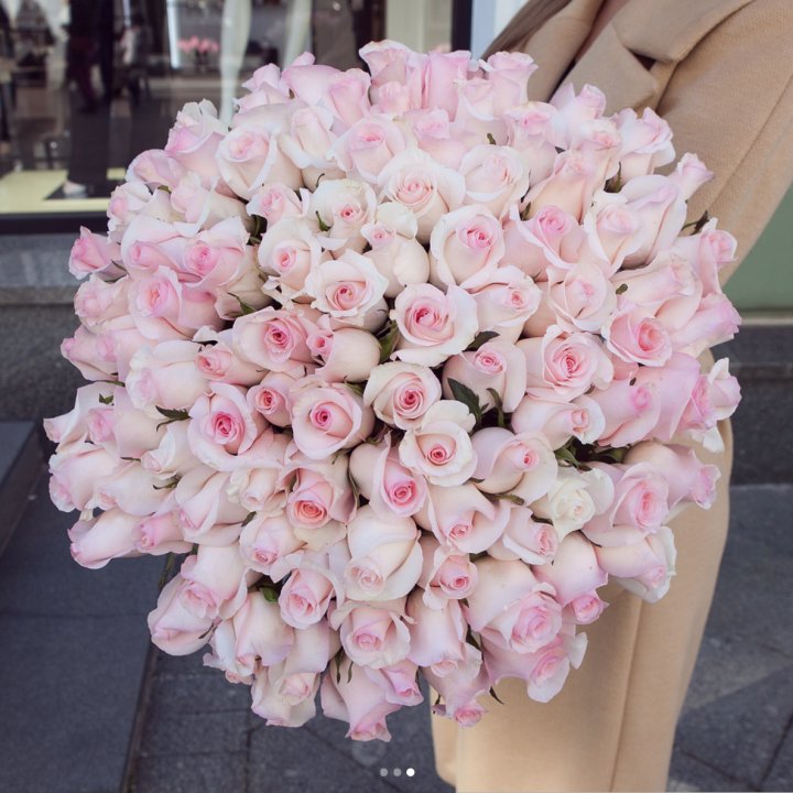 Розы "Пинк бум" в Владивостоке