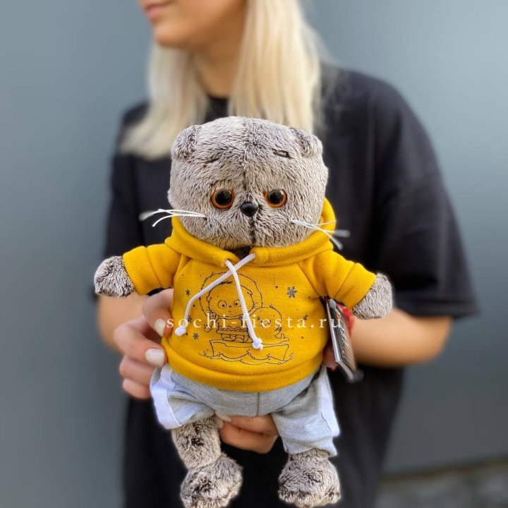 Кот Басик в худи в Владивостоке