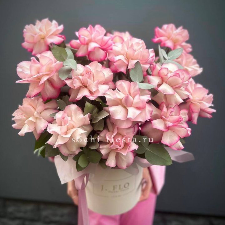 17 Французских  роз Венди в боксе в Владивостоке