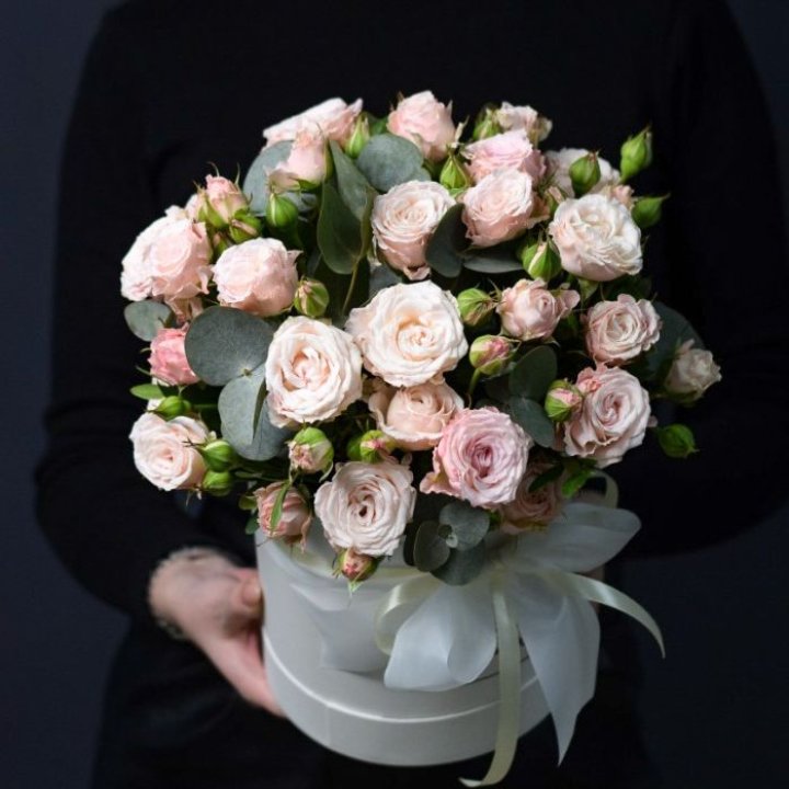 Бомбастик бокс №2 в Владивостоке