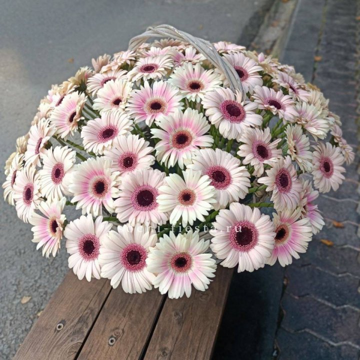 Корзина с герберами  в Владивостоке